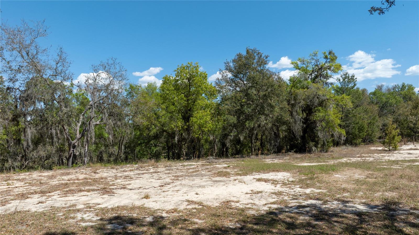 0 SE 165TH AVE, WEIRSDALE, FL, 32195