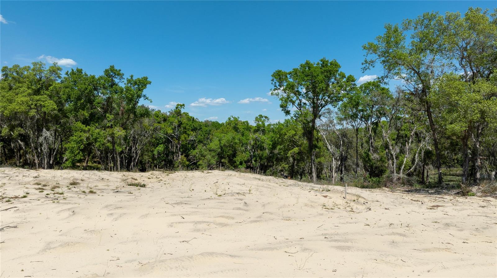 0 SE 165TH AVE, WEIRSDALE, FL, 32195