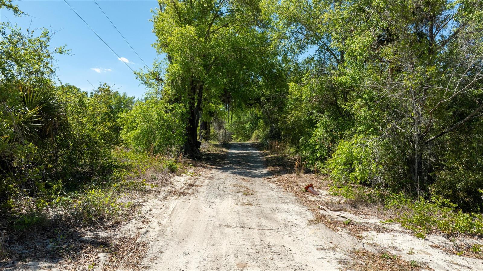 0 SE 165TH AVE, WEIRSDALE, FL, 32195
