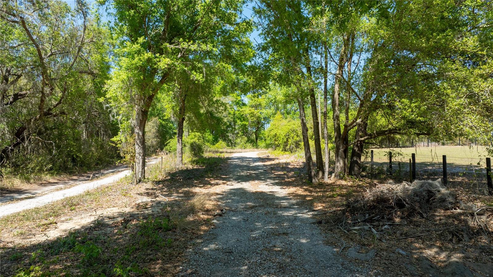 0 SE 165TH AVE, WEIRSDALE, FL, 32195
