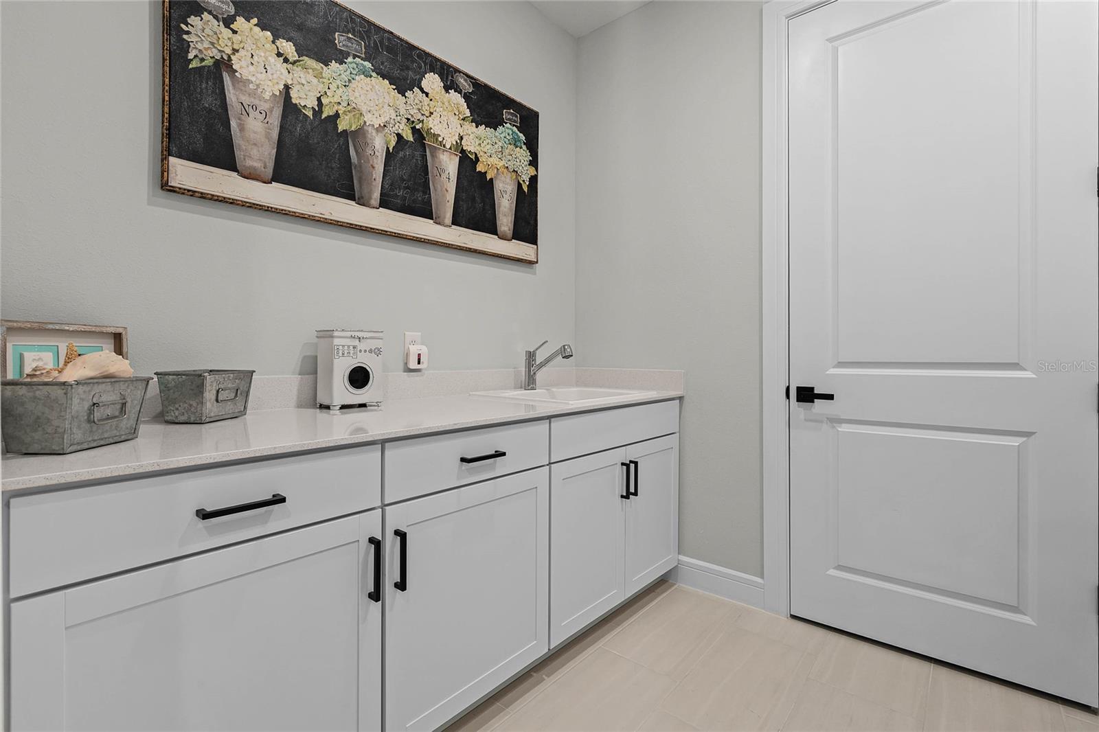 13732 FRESH IVY ST, WINTER GARDEN, FL, 34787