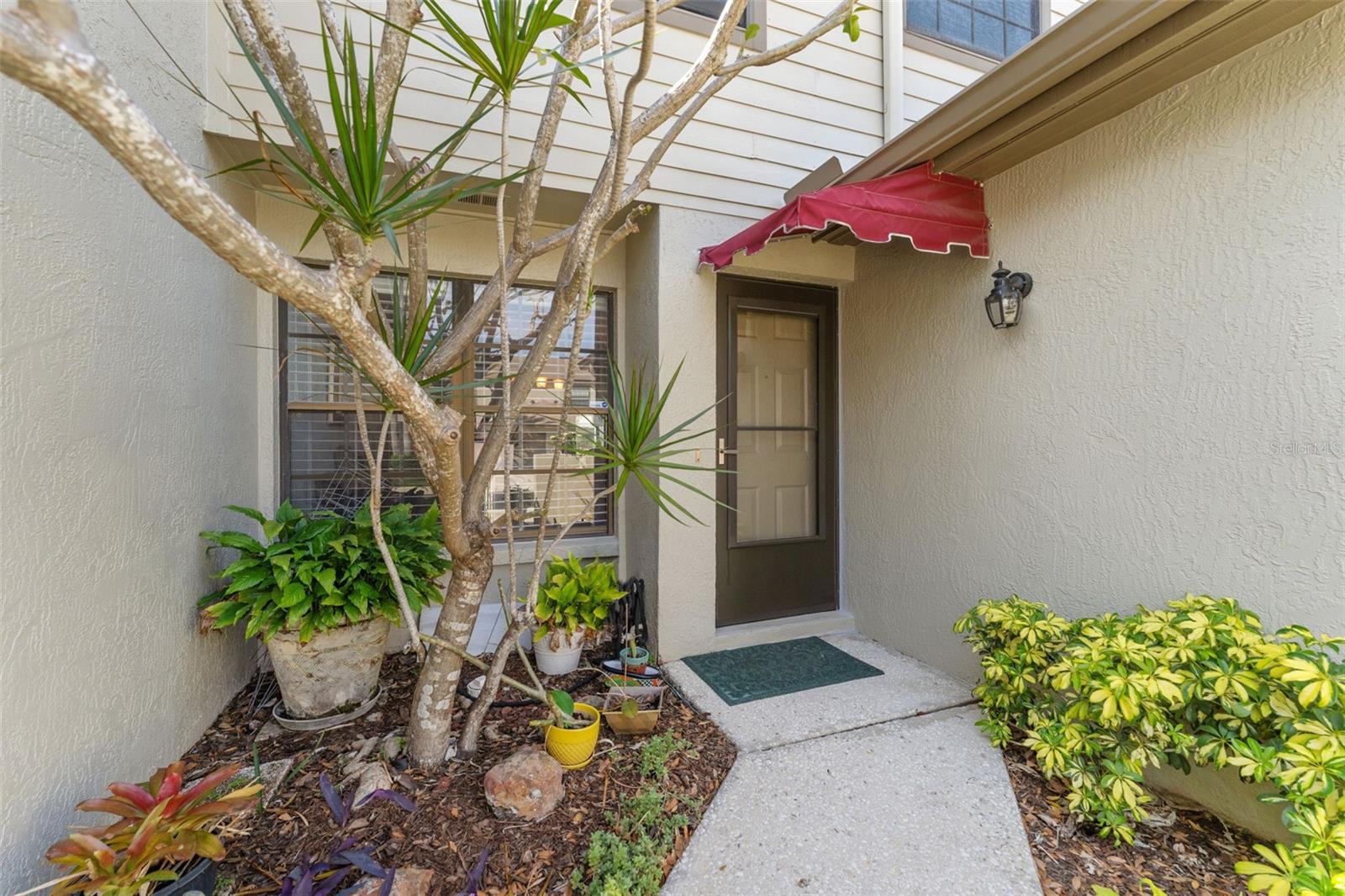 1205 HOUNDS RUN, SAFETY HARBOR, FL, 34695
