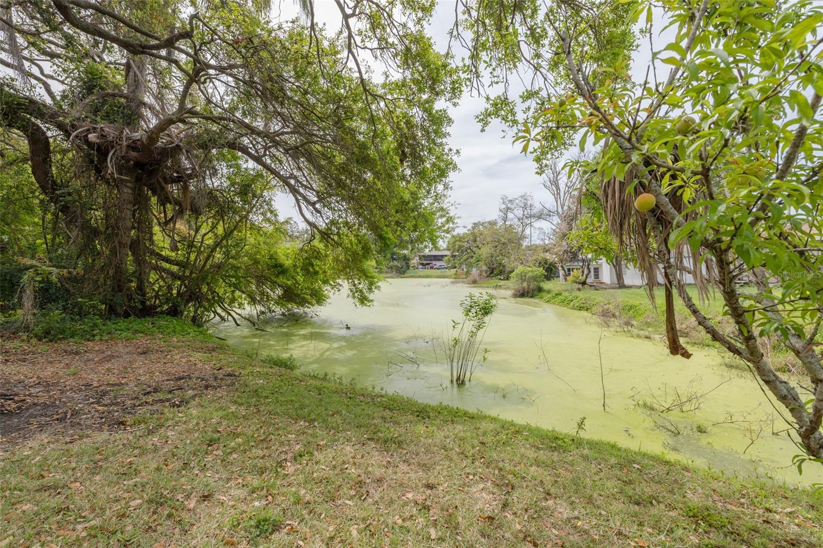 1980 BYRAM DR, CLEARWATER, FL, 33755