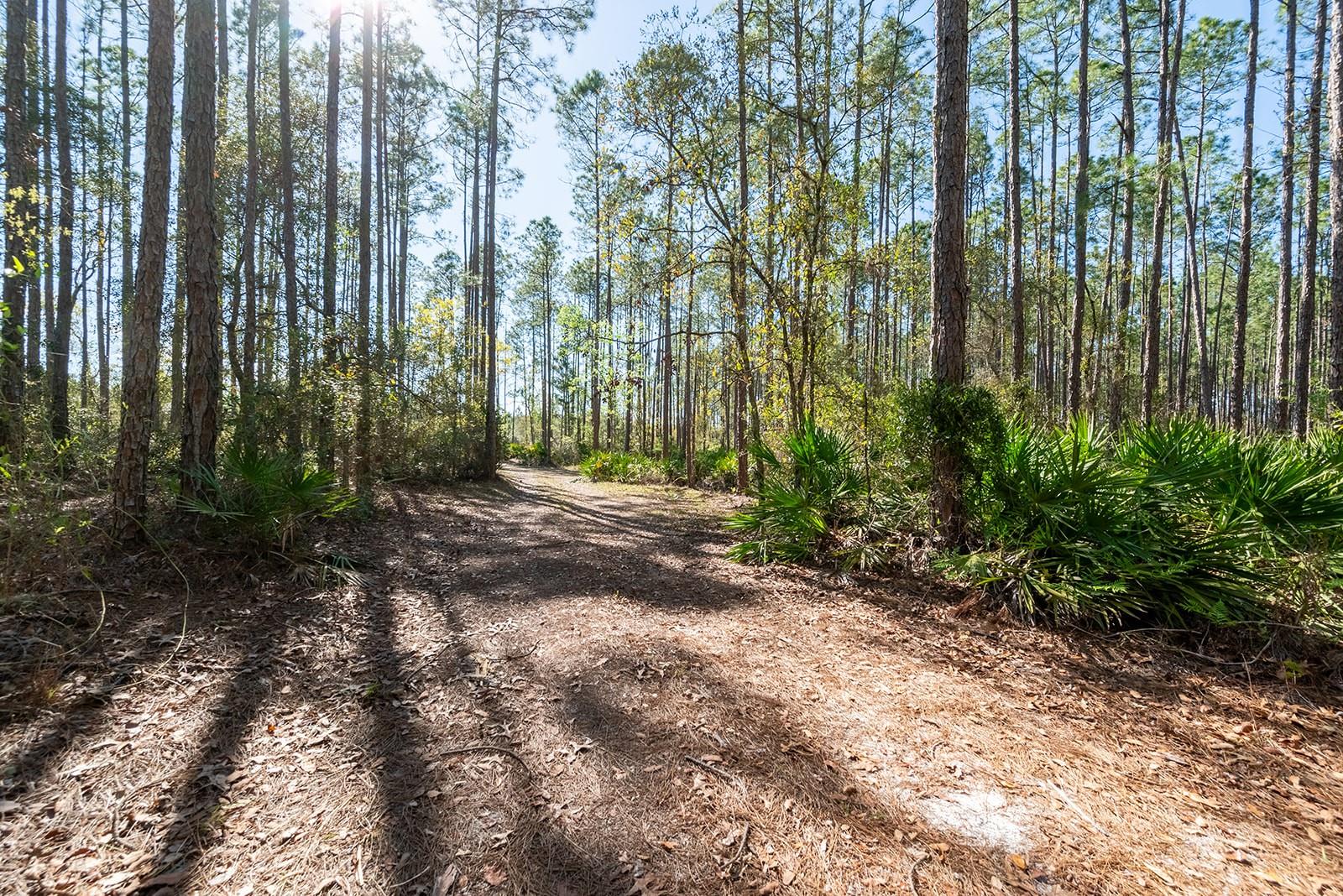 7460 SE 51ST WAY, TRENTON, FL, 32693