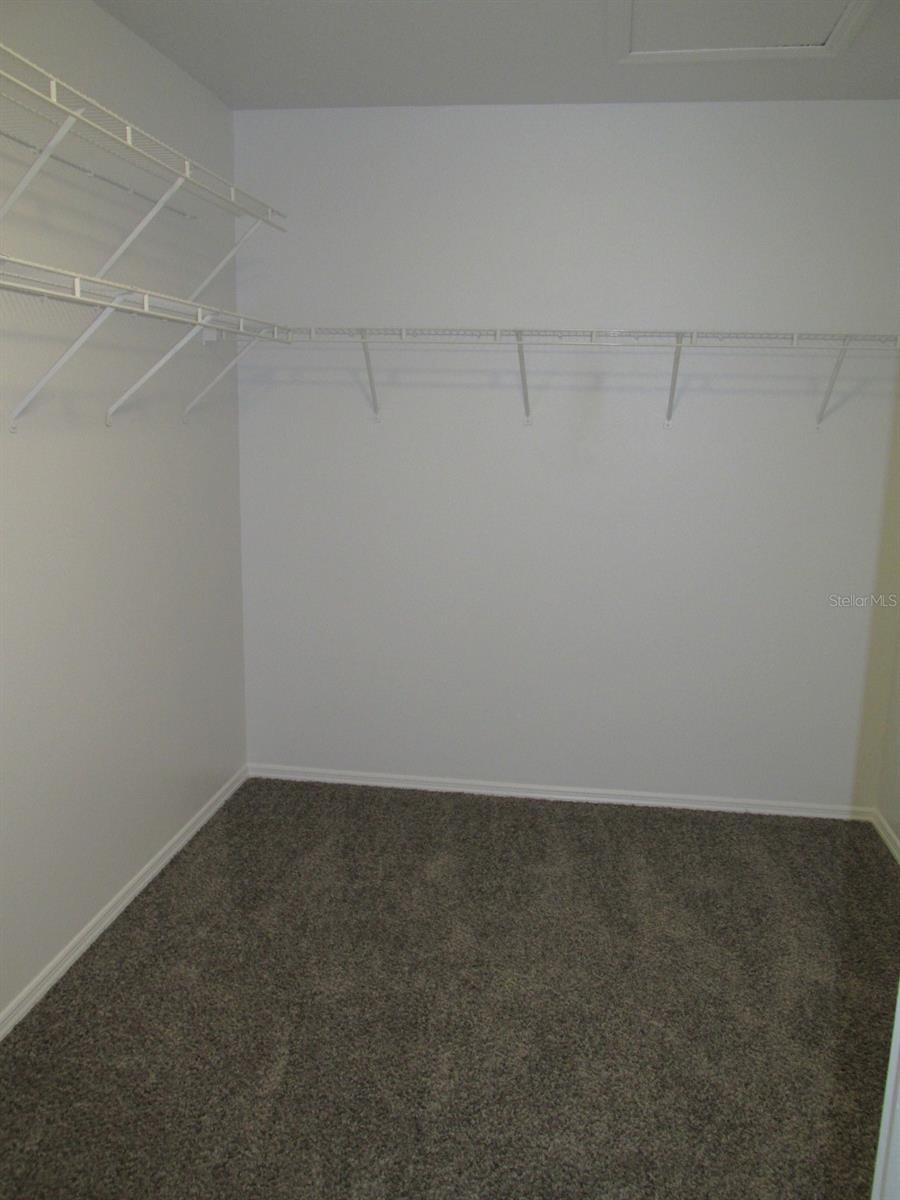 30849 TEMPLE STAND AVE, WESLEY CHAPEL, FL, 33543