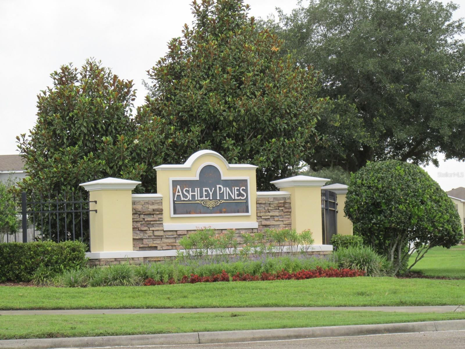 30849 TEMPLE STAND AVE, WESLEY CHAPEL, FL, 33543