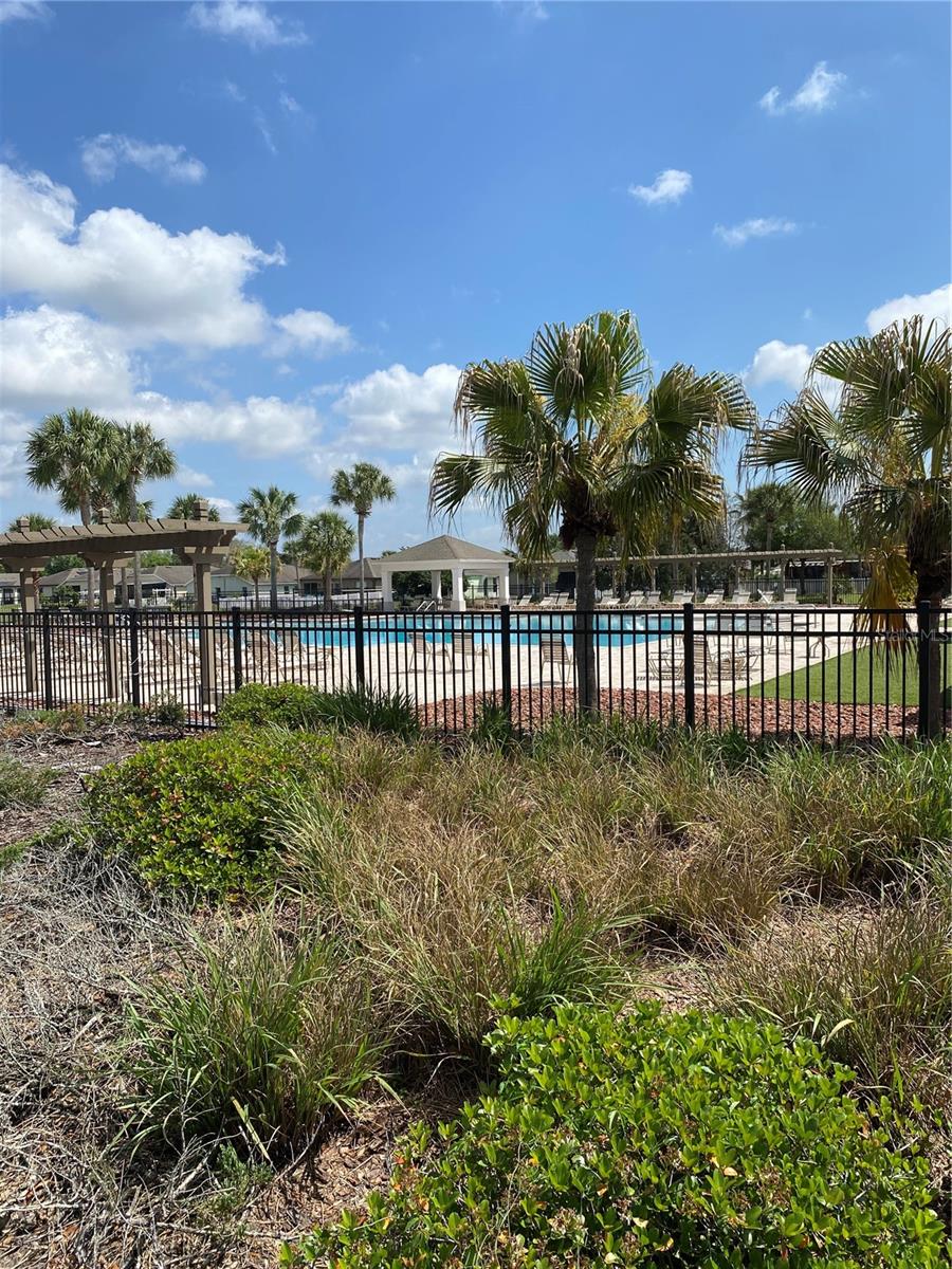 767 ALPINE THISTLE DR, BROOKSVILLE, FL, 34604