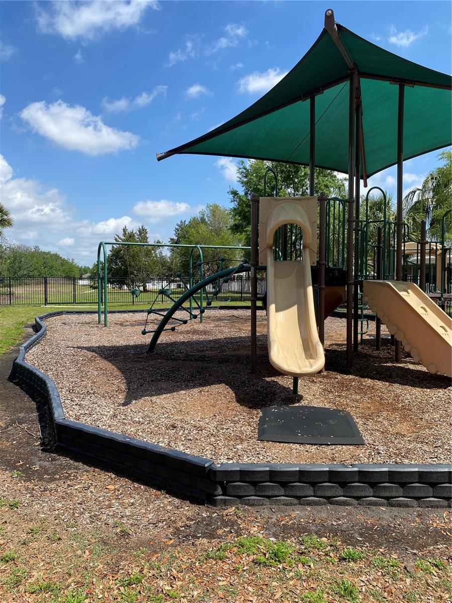 767 ALPINE THISTLE DR, BROOKSVILLE, FL, 34604