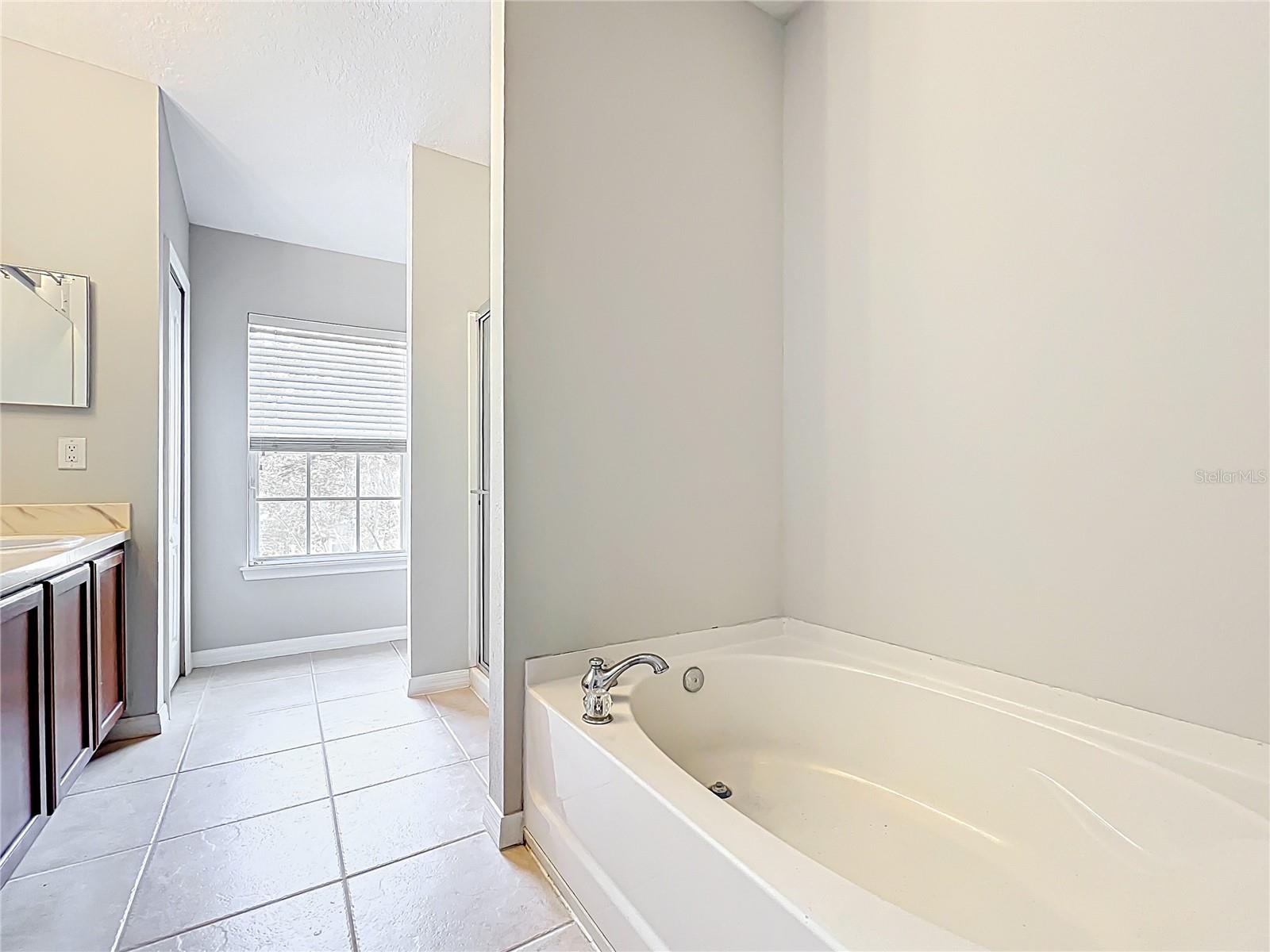 10852 SPIDER LILY DR #14C, ORLANDO, FL, 32832