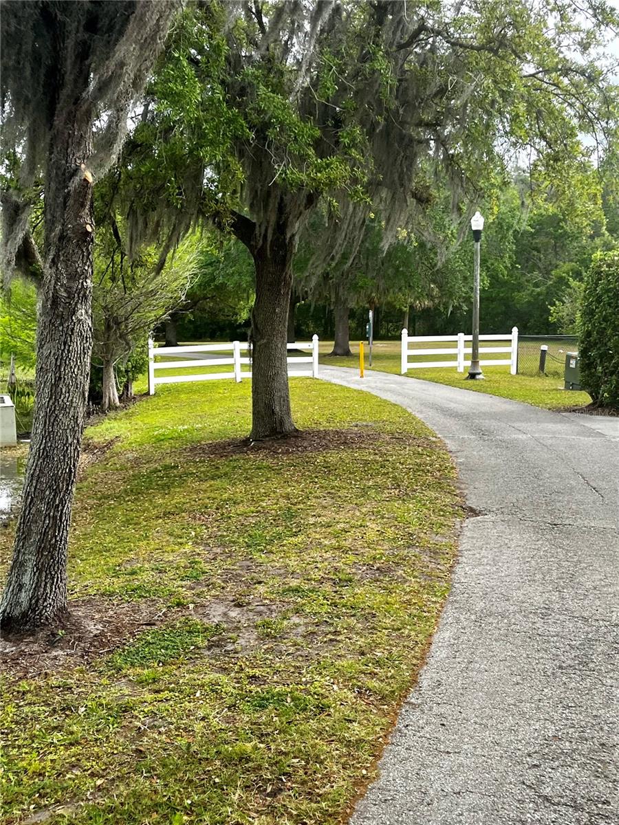 10852 SPIDER LILY DR #14C, ORLANDO, FL, 32832