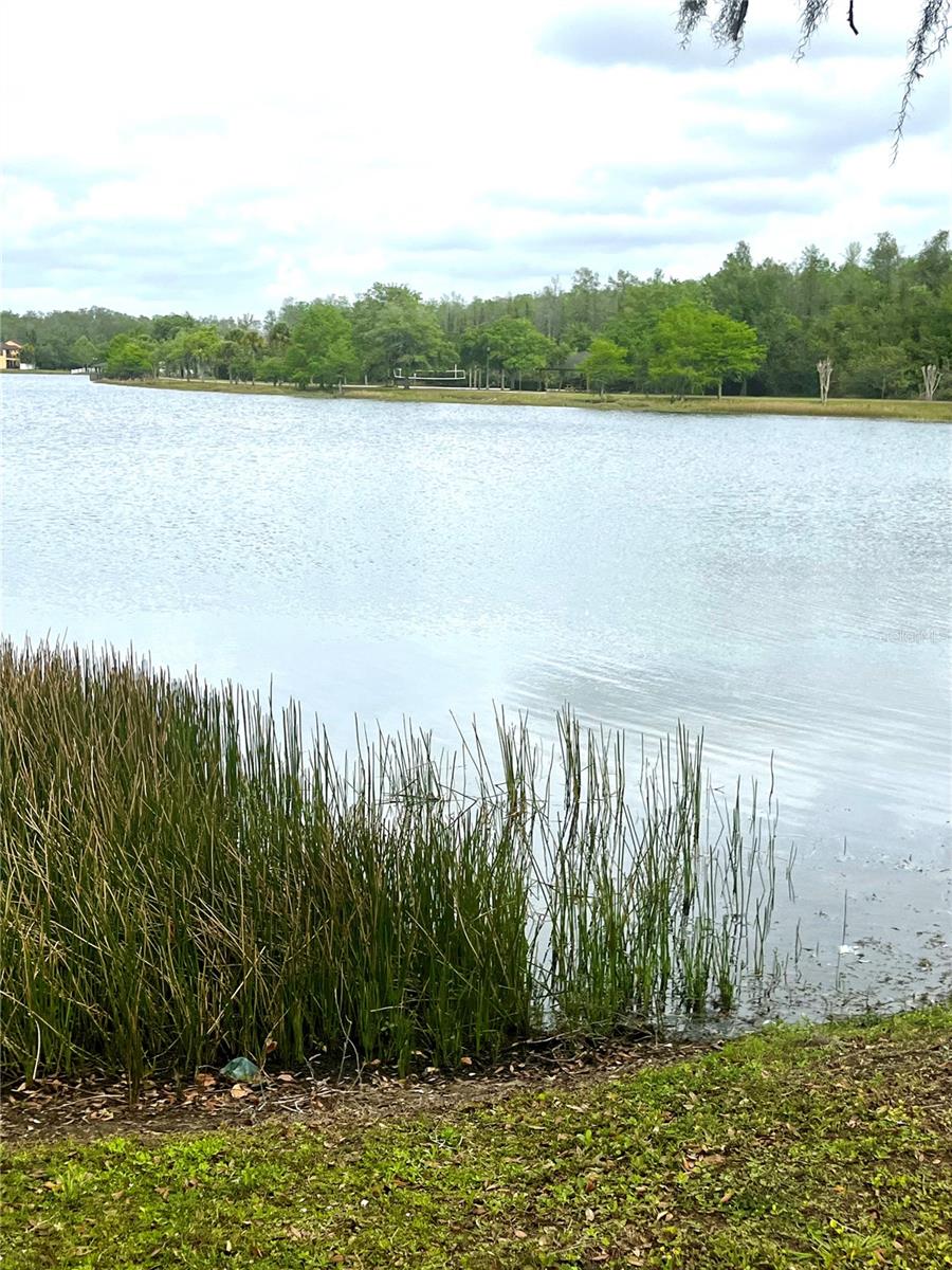 10852 SPIDER LILY DR #14C, ORLANDO, FL, 32832