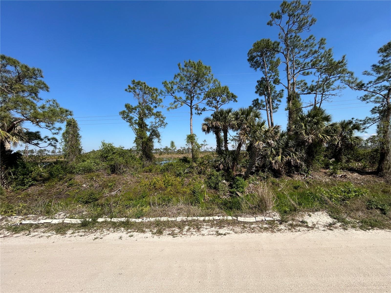 8141 STRASSE BLVD, PUNTA GORDA, FL, 33982