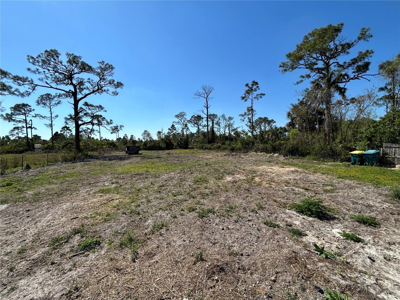 8141 STRASSE BLVD, PUNTA GORDA, FL, 33982