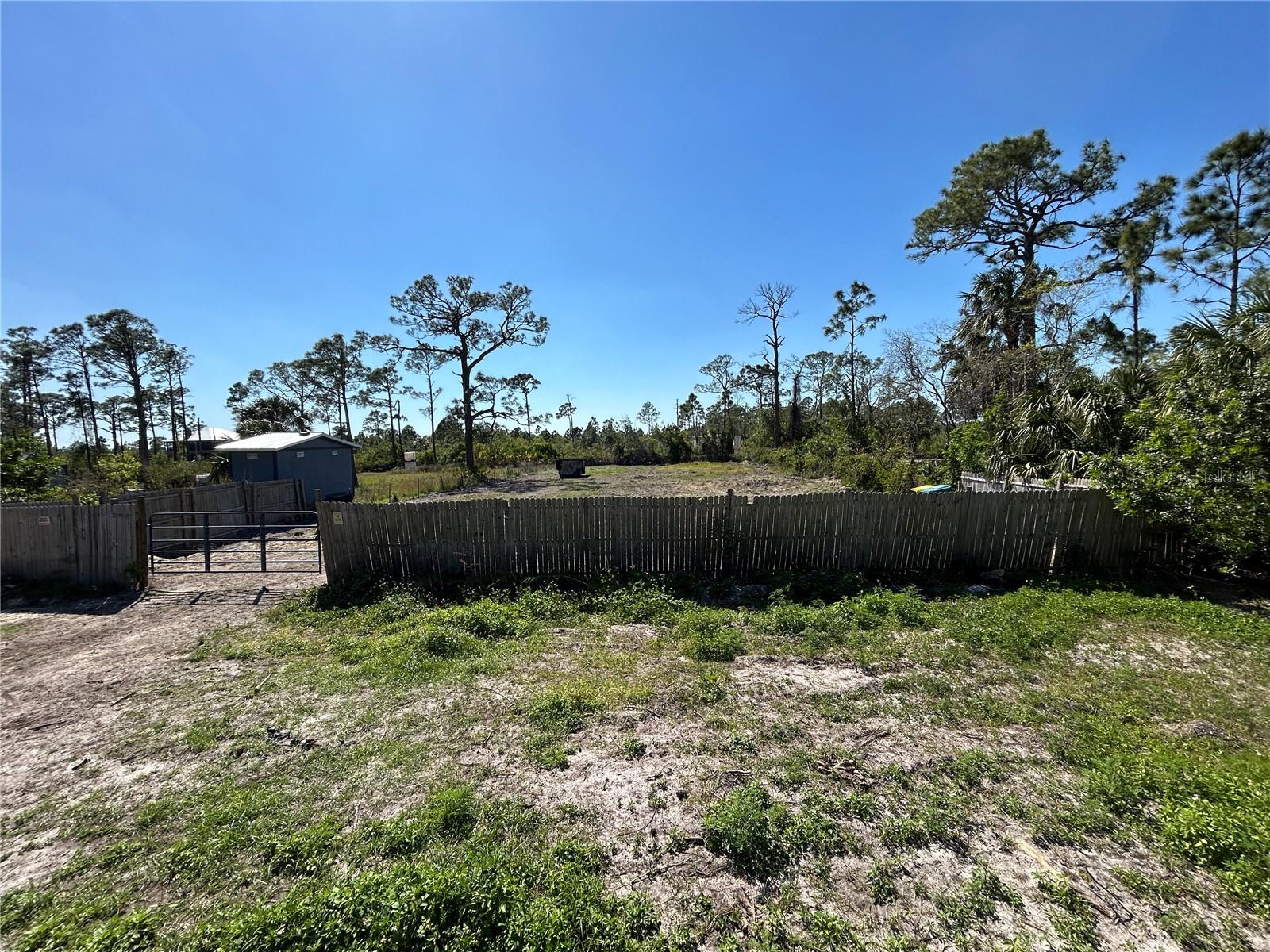 8141 STRASSE BLVD, PUNTA GORDA, FL, 33982