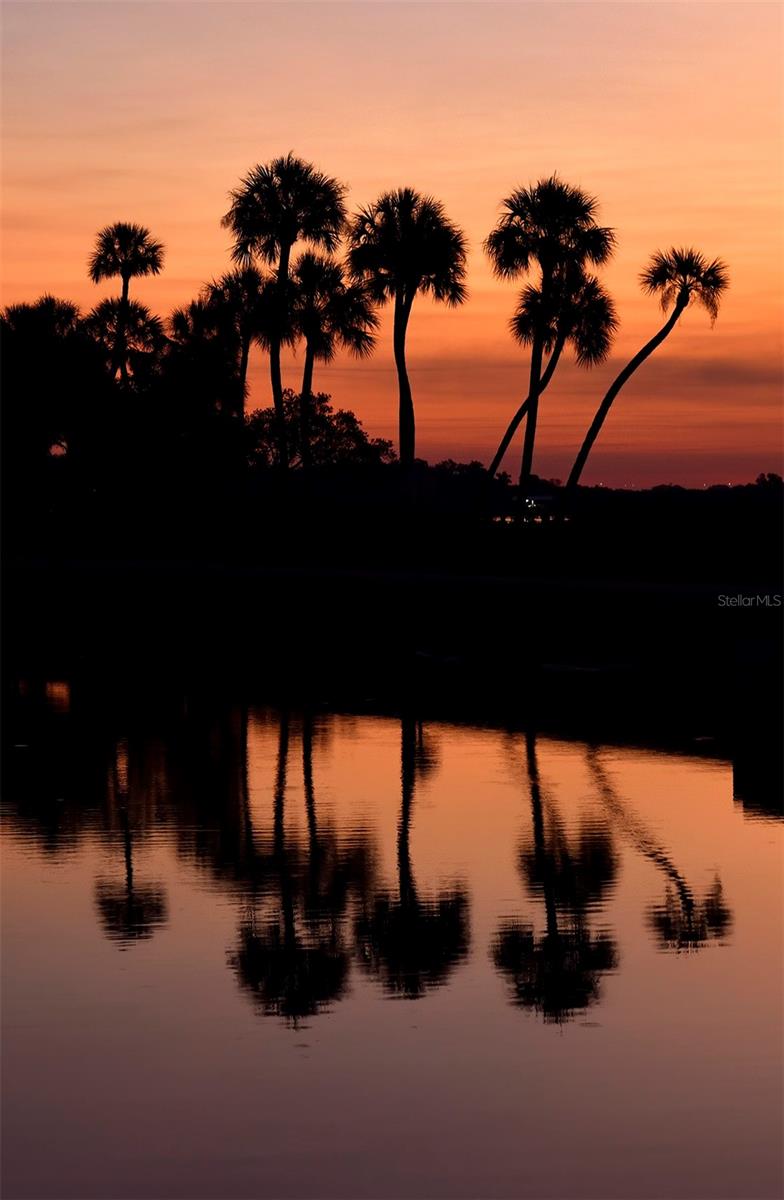 60 LILES ST, TERRA CEIA, FL, 34250