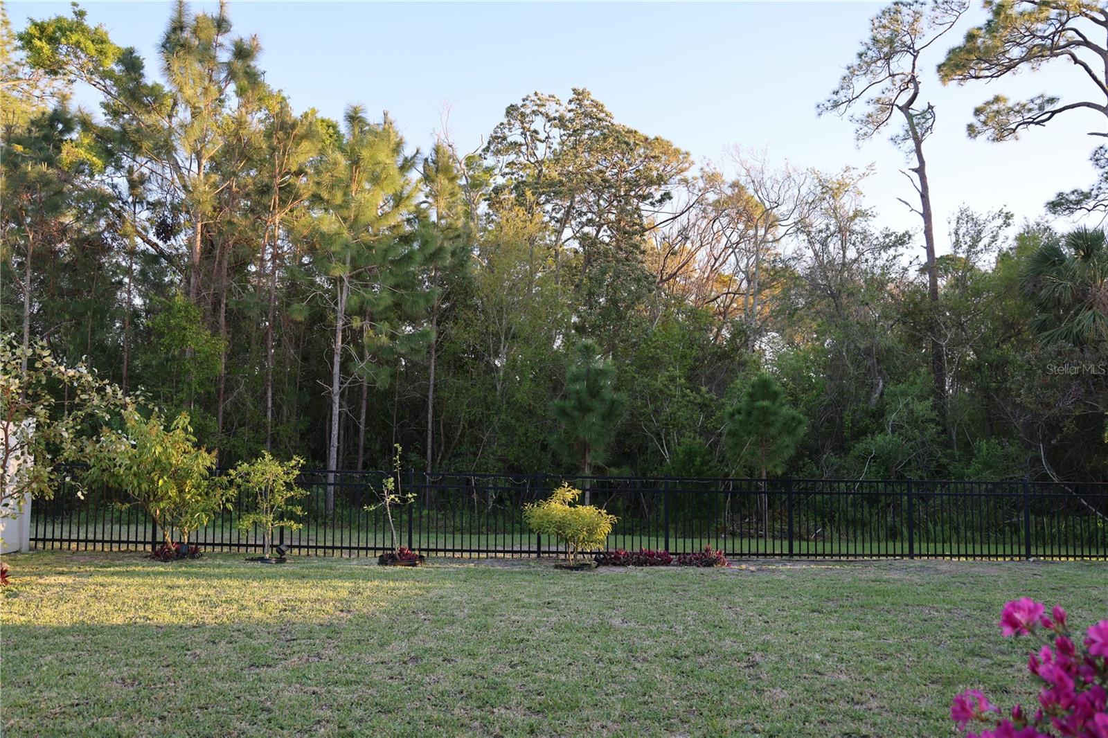3302 GINA CT, HOLIDAY, FL, 34691