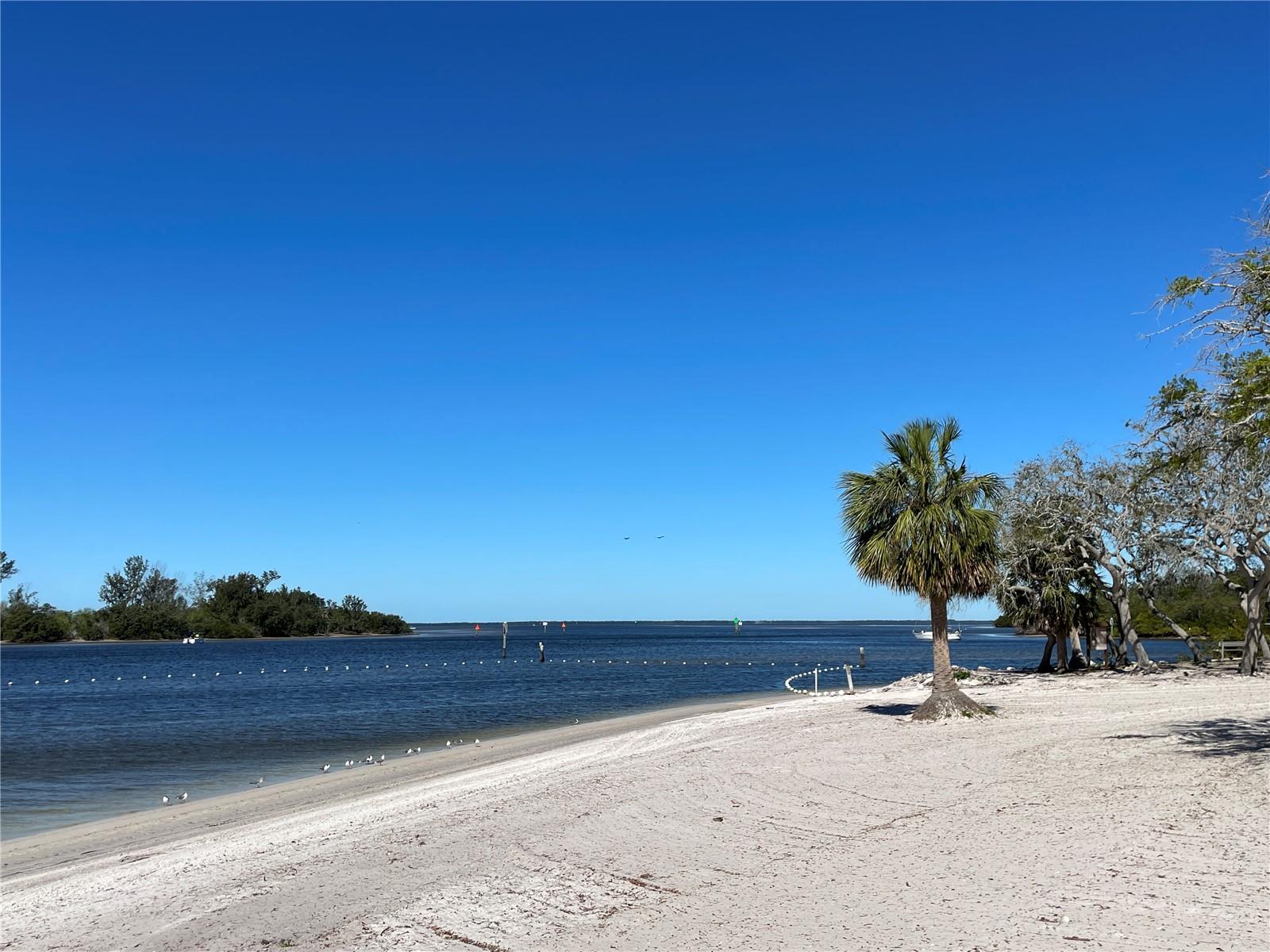 3302 GINA CT, HOLIDAY, FL, 34691