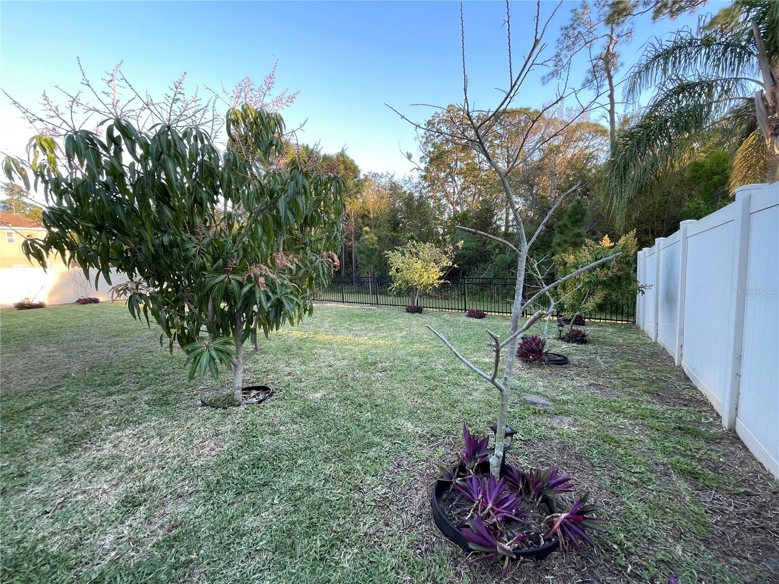 3302 GINA CT, HOLIDAY, FL, 34691