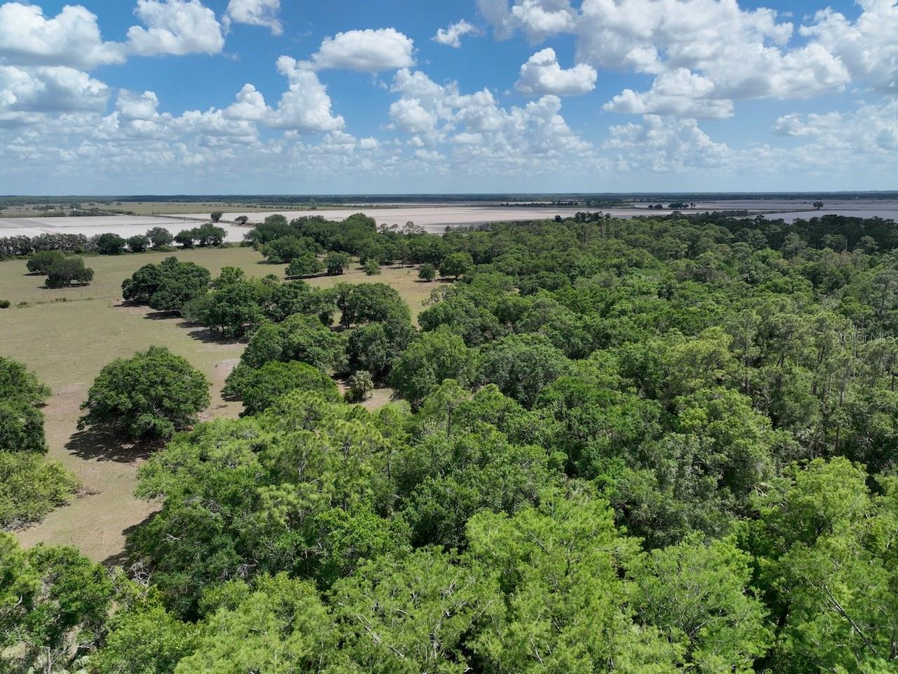 KIRBY THOMPSON RD, LABELLE, FL, 33935