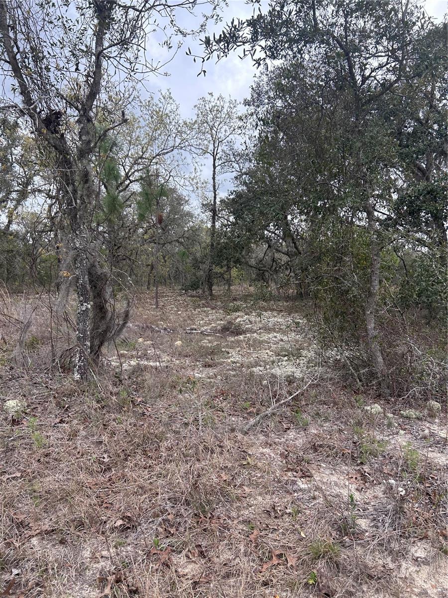 08-22 WINDING HILLS RD, DUNNELLON, FL, 34431