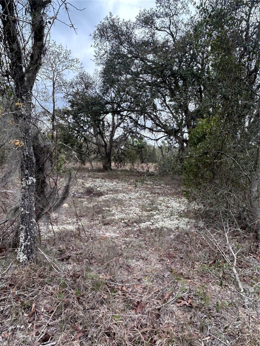 08-22 WINDING HILLS RD, DUNNELLON, FL, 34431