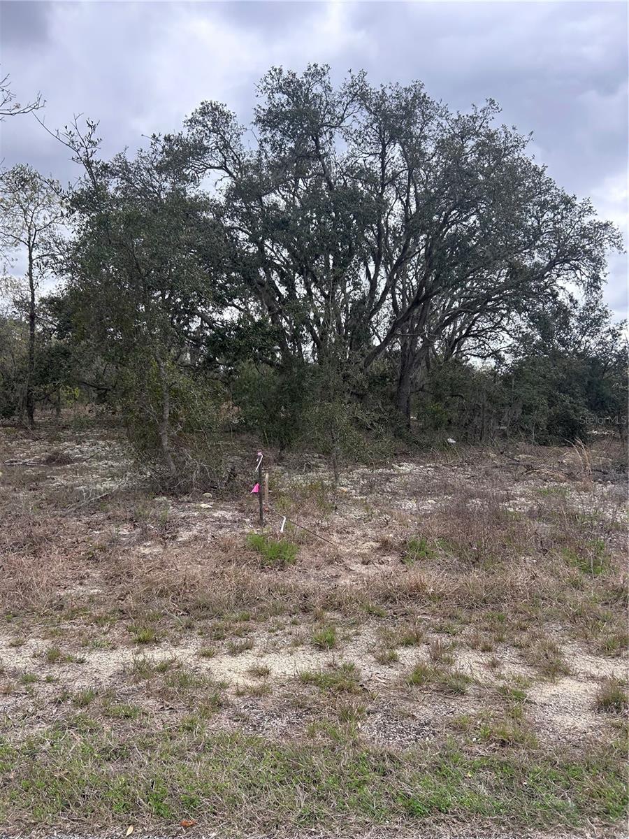 08-22 WINDING HILLS RD, DUNNELLON, FL, 34431