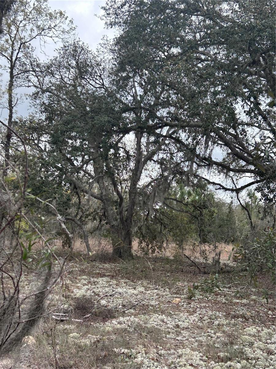 08-22 WINDING HILLS RD, DUNNELLON, FL, 34431