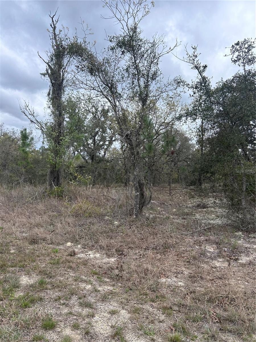 08-22 WINDING HILLS RD, DUNNELLON, FL, 34431