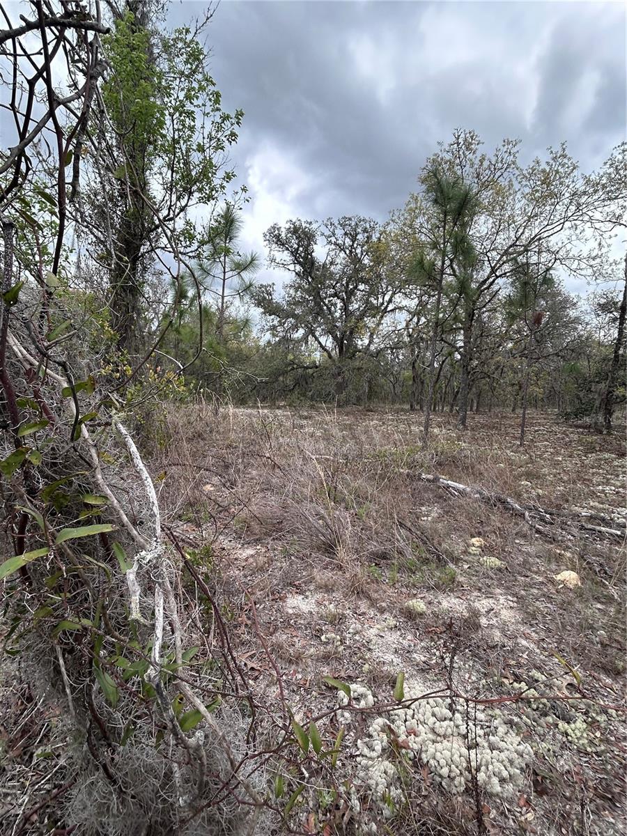 08-22 WINDING HILLS RD, DUNNELLON, FL, 34431