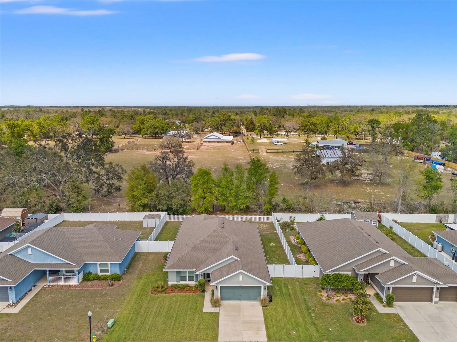 16302 VINE CLIFF AVE, HUDSON, FL, 34667