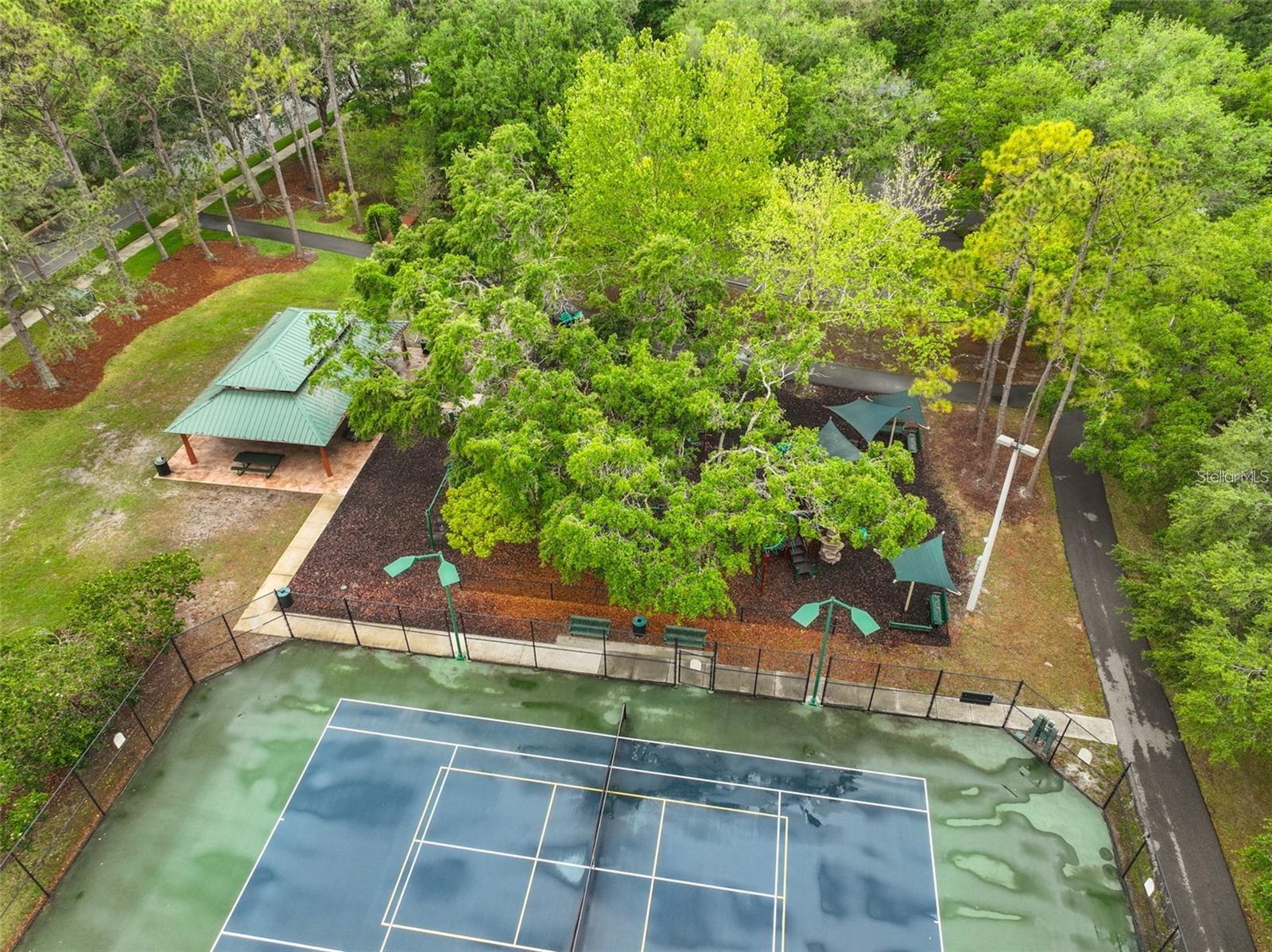 9481 HIGHLAND OAK DR #703, TAMPA, FL, 33647