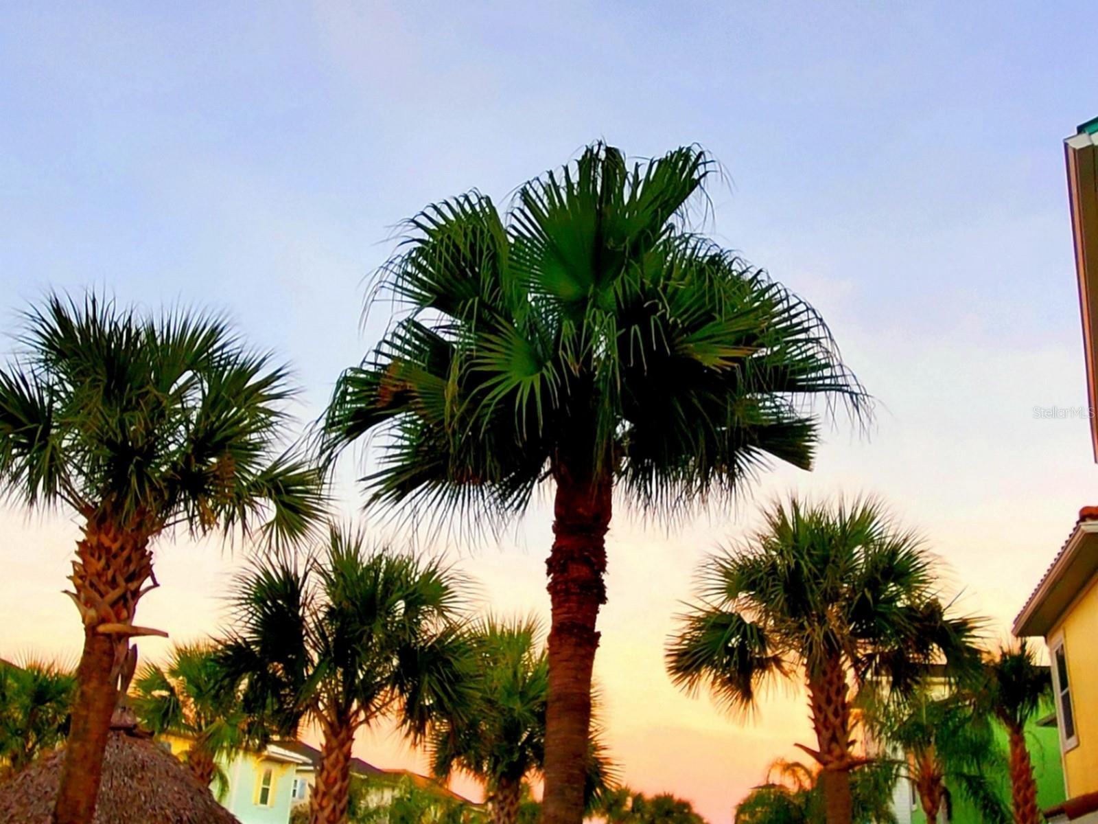 8081 DREAMSICLE DR, KISSIMMEE, FL, 34747