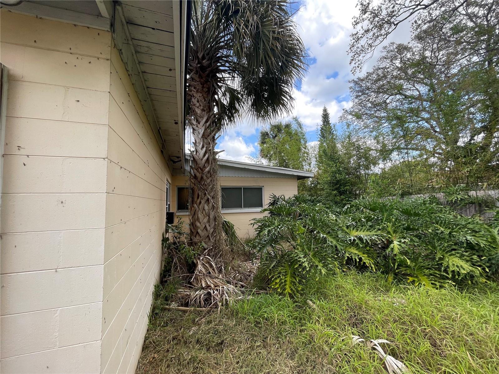 742 CANOVIA AVE, ORLANDO, FL, 32804