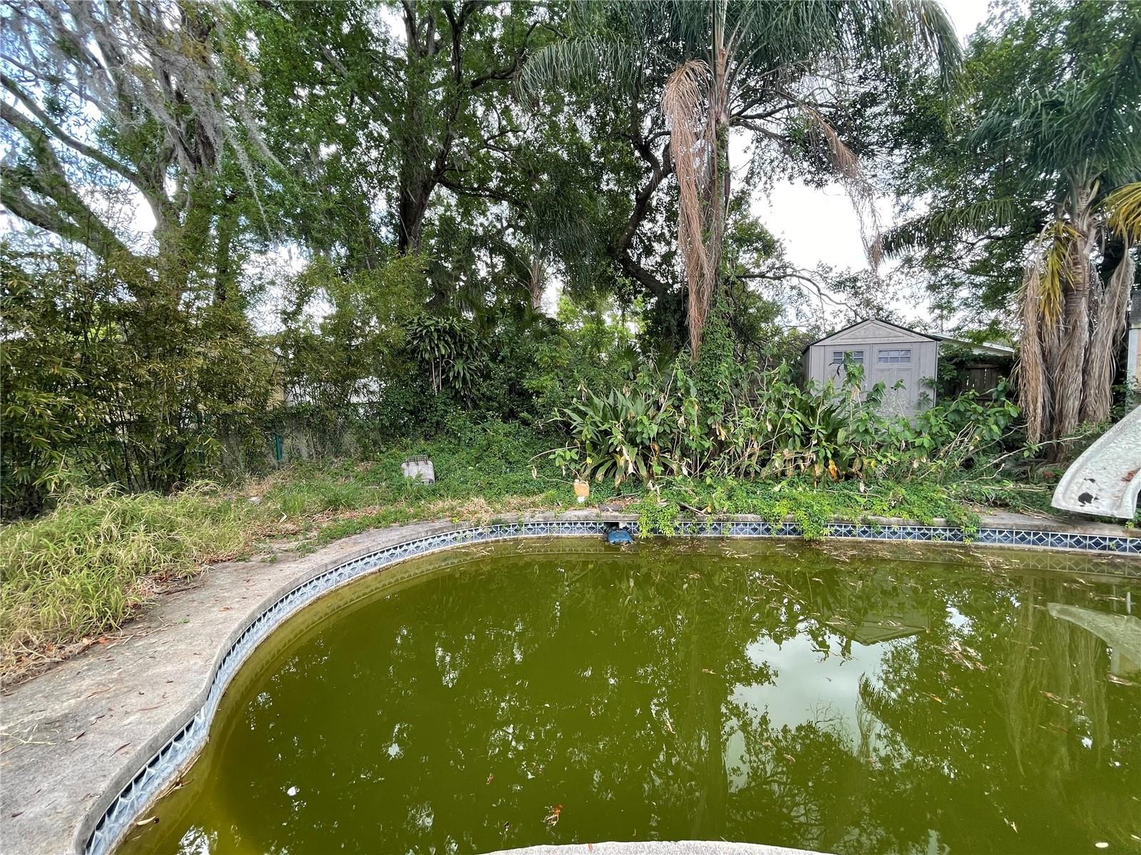 742 CANOVIA AVE, ORLANDO, FL, 32804