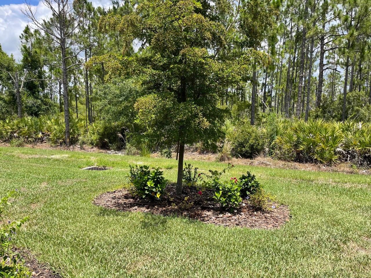 1352 RASPBERRY DR, NORTH PORT, FL, 34289