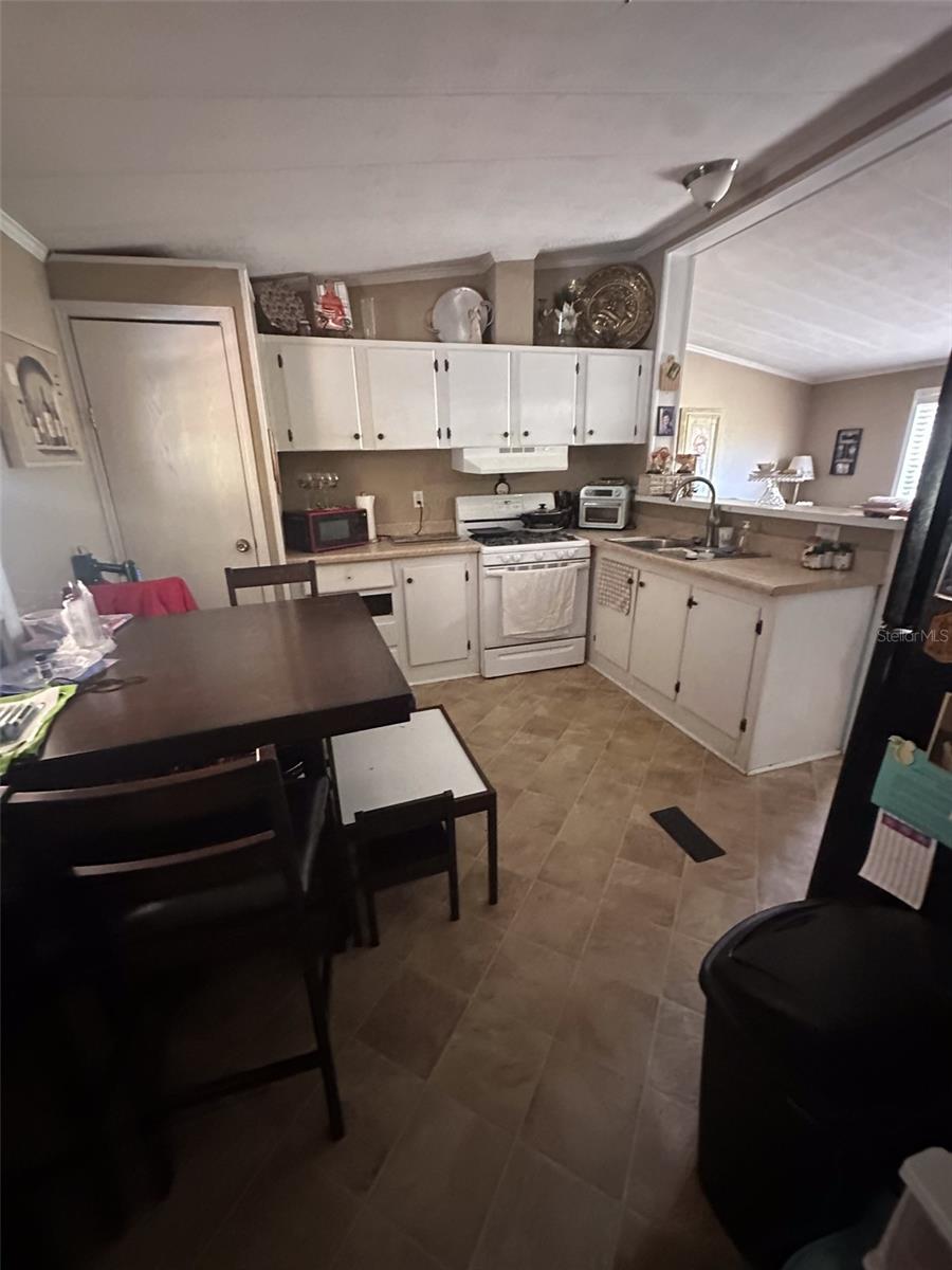 345 SE ROLLING HILLS DR, LAKE CITY, FL, 32025