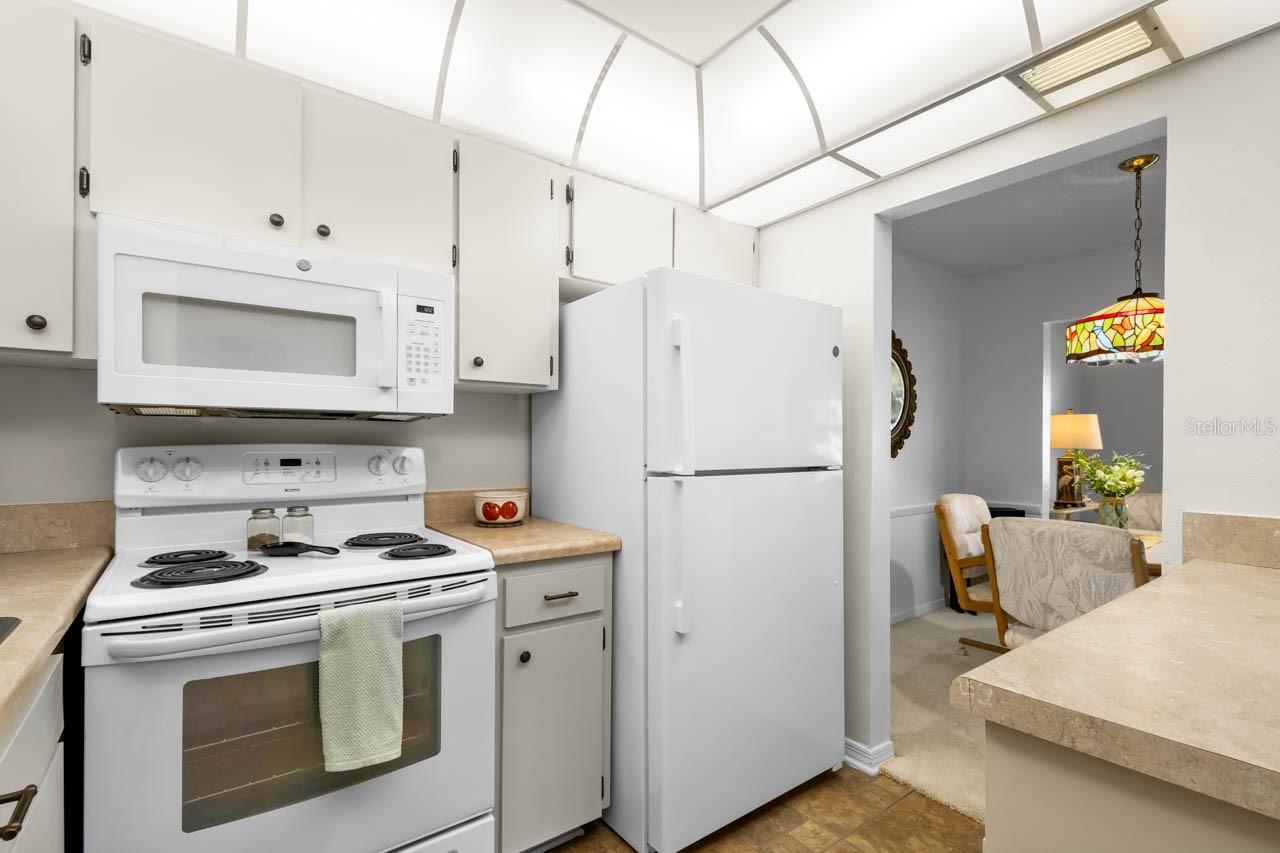 1901 CANTERBURY LN #14, SUN CITY CENTER, FL, 33573