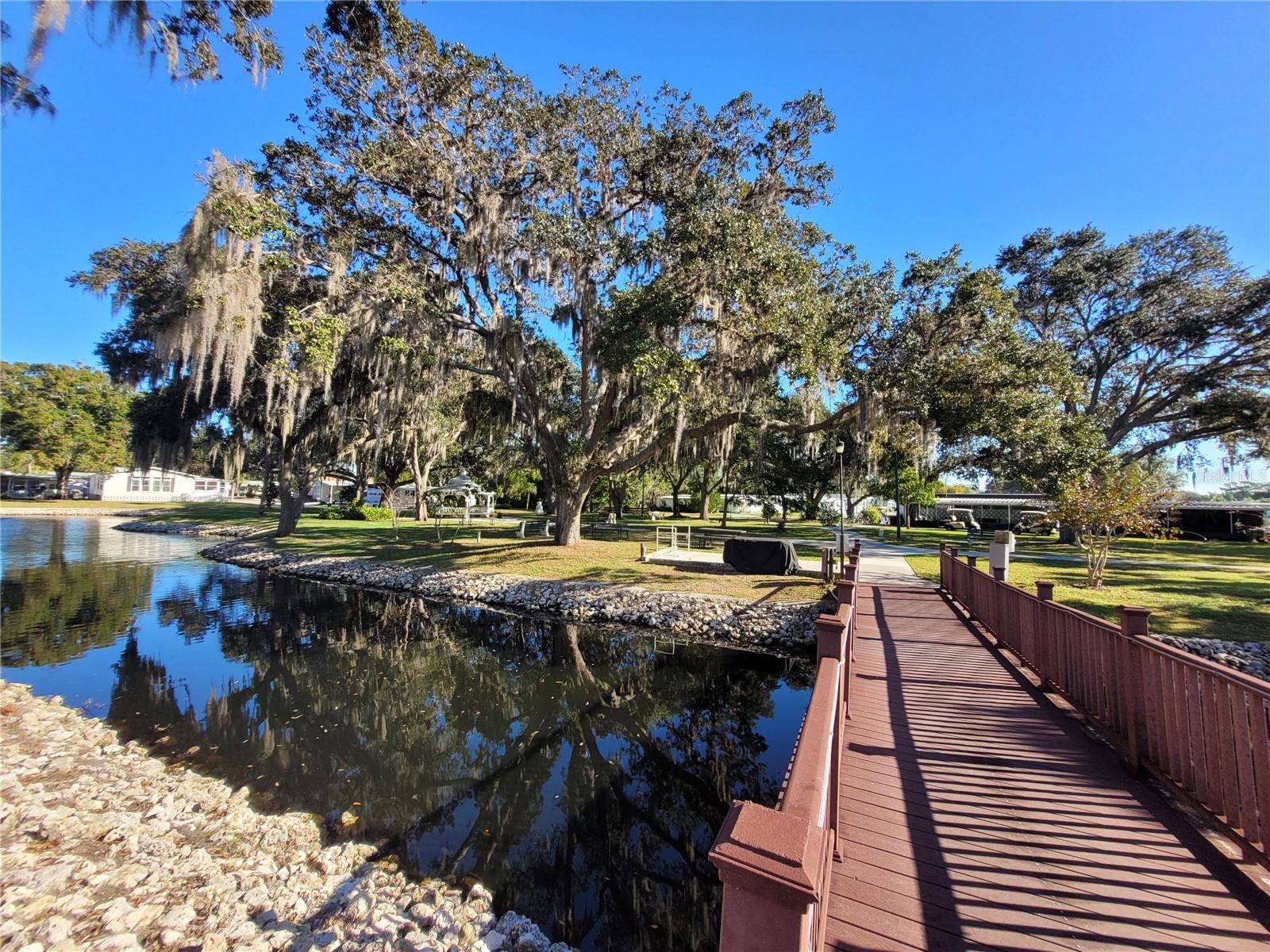 217 WATER OAK LN, SARASOTA, FL, 34237
