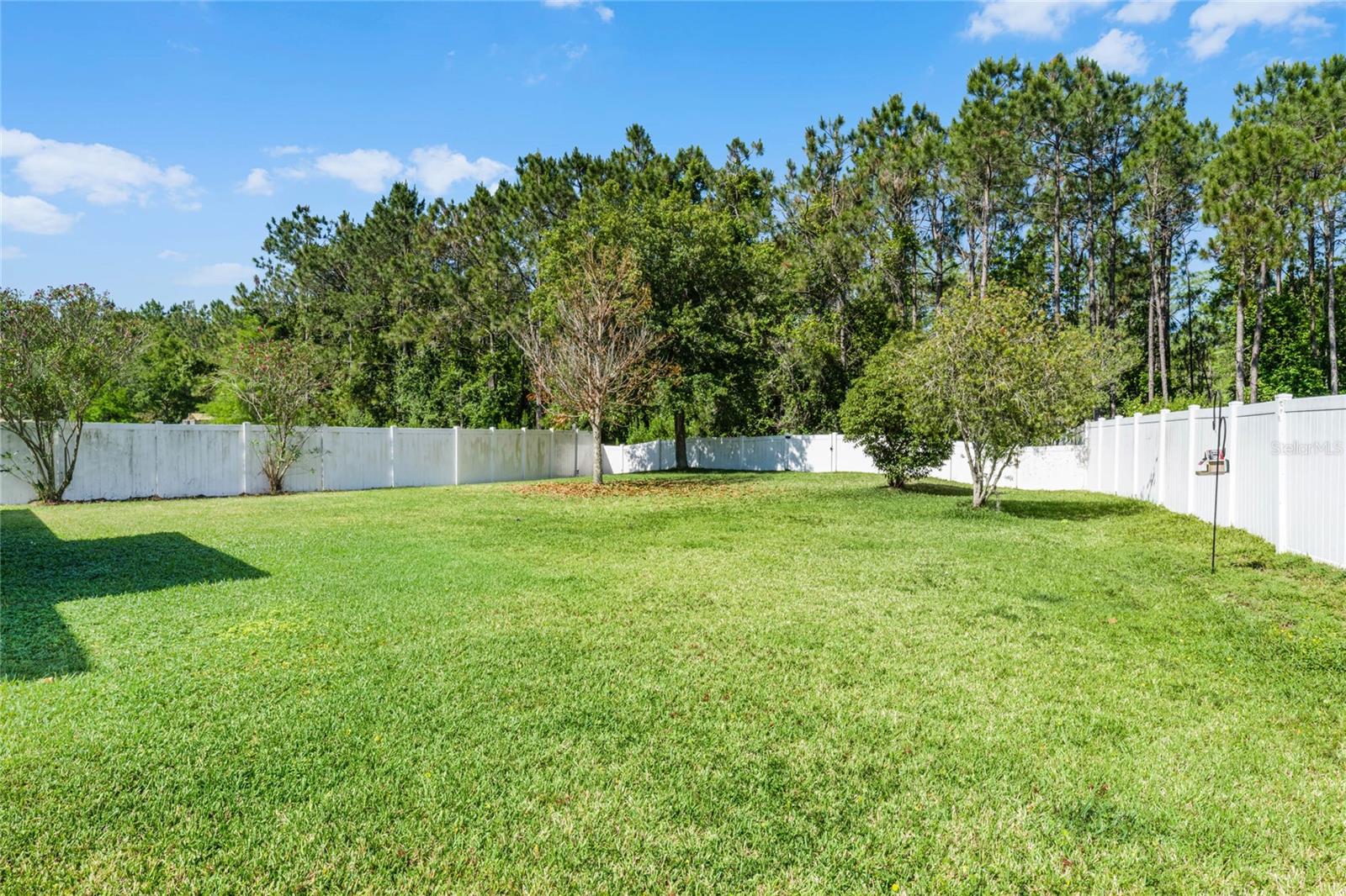 199 BOYSENBERRY LN, DAYTONA BEACH, FL, 32124