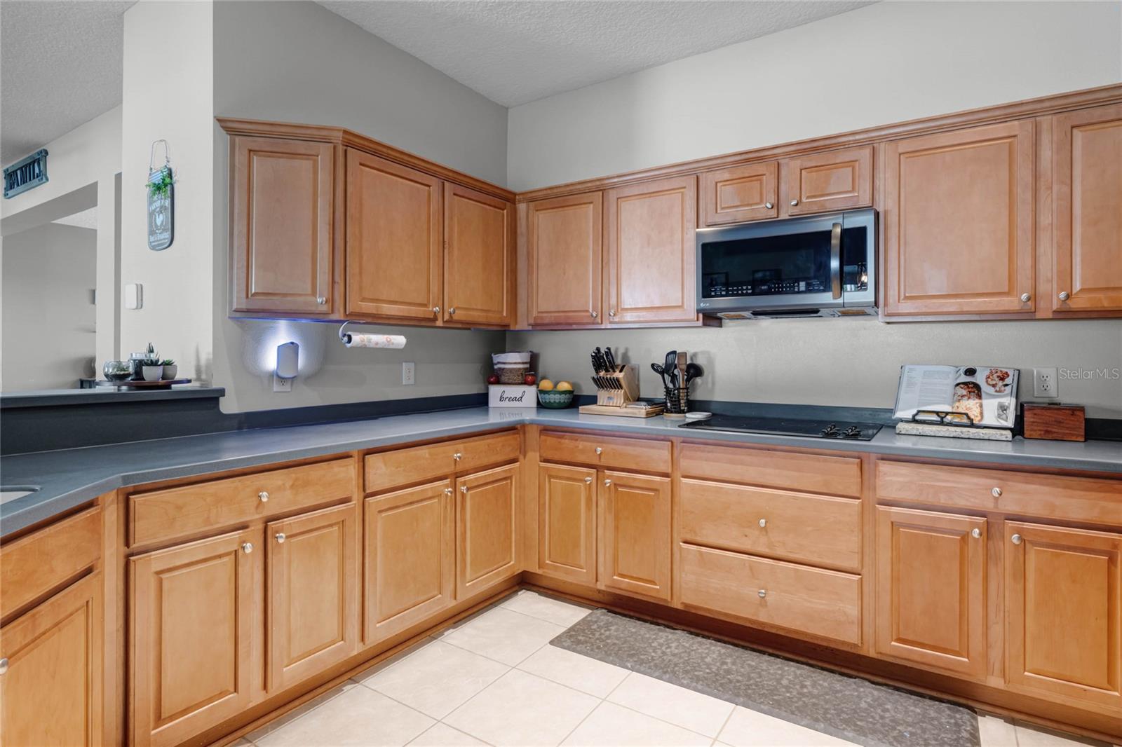 199 BOYSENBERRY LN, DAYTONA BEACH, FL, 32124