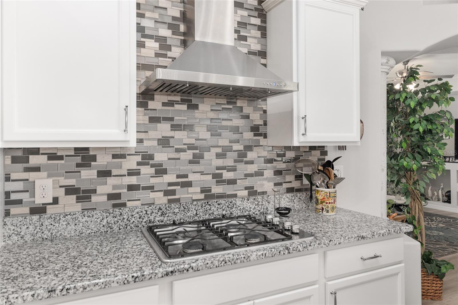 5450 NE 61ST AVENUE RD, SILVER SPRINGS, FL, 34488