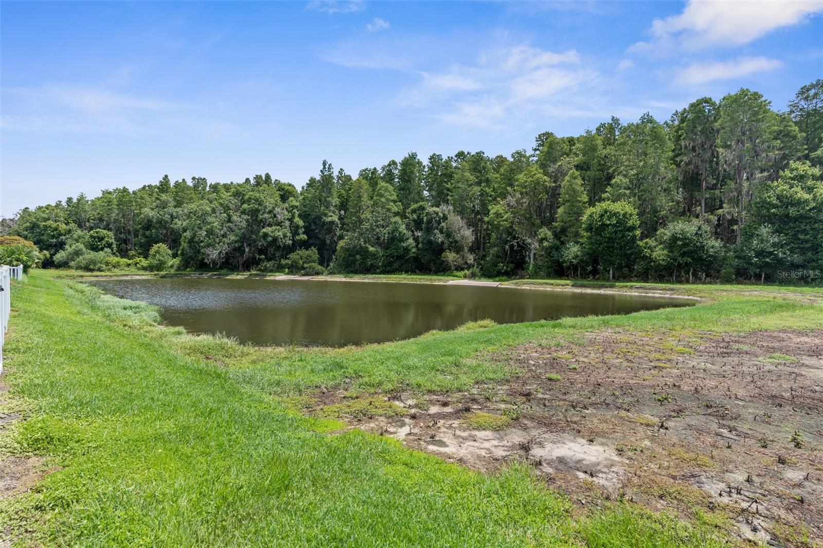 11753 CRESTRIDGE LOOP, NEW PORT RICHEY, FL, 34655
