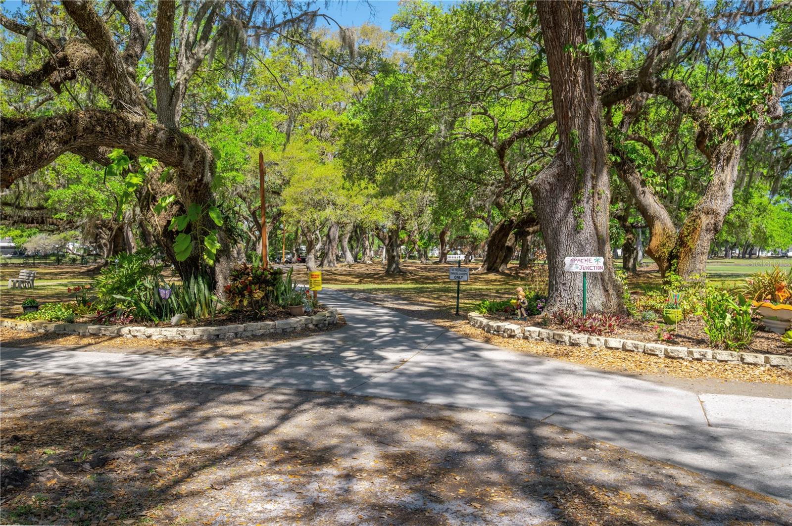 37234 CAROL AVE, ZEPHYRHILLS, FL, 33542