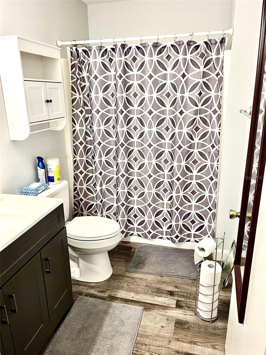 1622 NAVIDAD ST, THE VILLAGES, FL, 32162