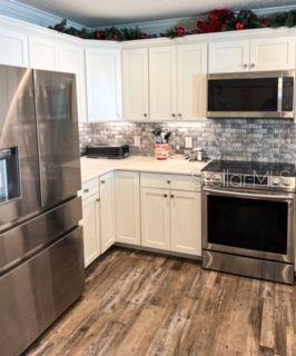 1622 NAVIDAD ST, THE VILLAGES, FL, 32162