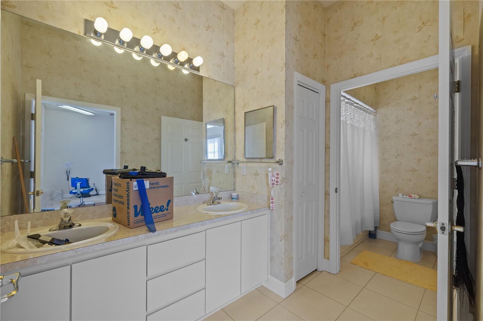 13750 DOWLING LN, ODESSA, FL, 33556