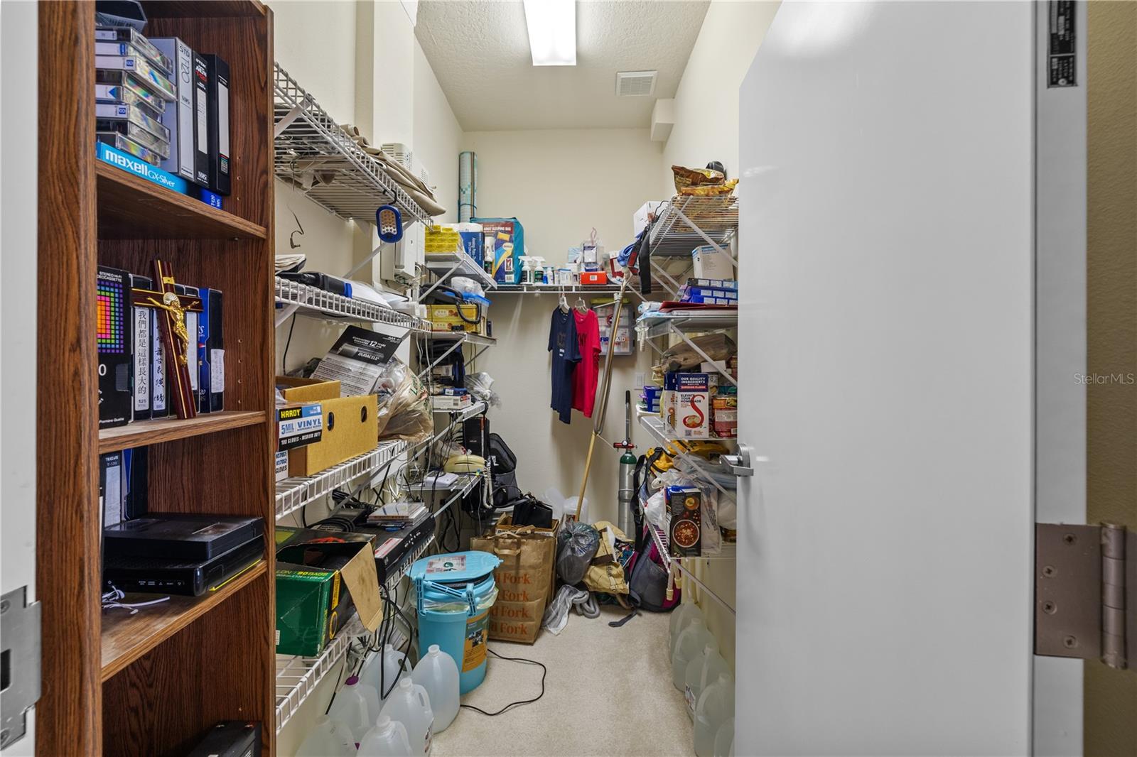 13750 DOWLING LN, ODESSA, FL, 33556