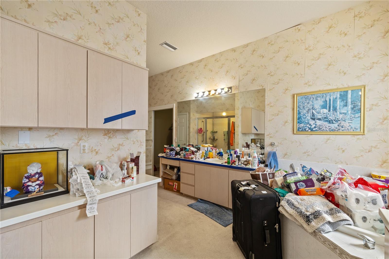 13750 DOWLING LN, ODESSA, FL, 33556