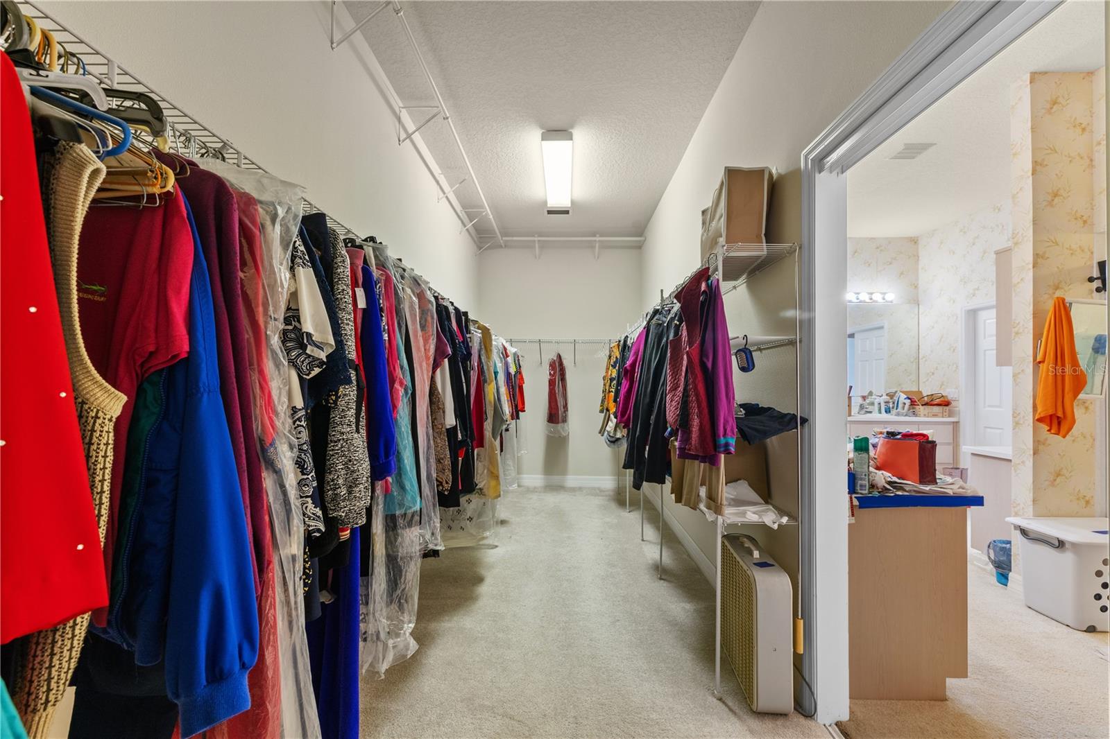 13750 DOWLING LN, ODESSA, FL, 33556