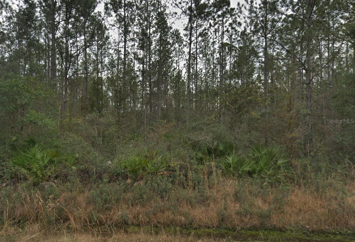 4255 EDWARD ST, HASTINGS, FL, 32145